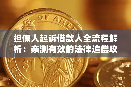 武汉担保人起诉借款人全流程解析：亲测有效的法律追偿攻略