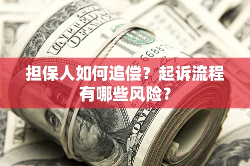 武汉担保人如何追偿？起诉流程有哪些风险？