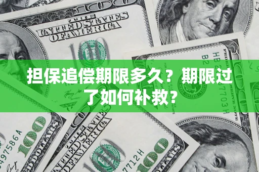 武汉担保追偿期限多久？期限过了如何补救？