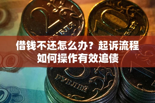 武汉借钱不还怎么办？起诉流程如何操作有效追债
