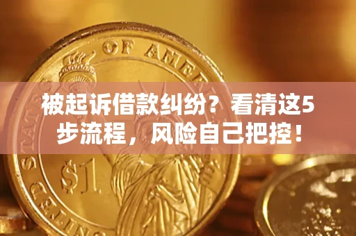 武汉被起诉借款纠纷？看清这5步流程，风险自己把控！