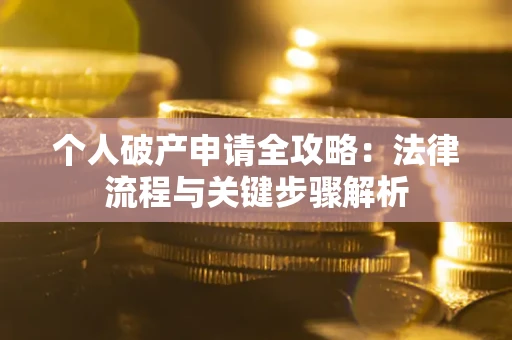 武汉个人破产申请全攻略：法律流程与关键步骤解析