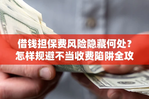 武汉借钱担保费风险隐藏何处？怎样规避不当收费陷阱全攻略！