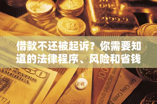 武汉借款不还被起诉？你需要知道的法律程序、风险和省钱技巧
